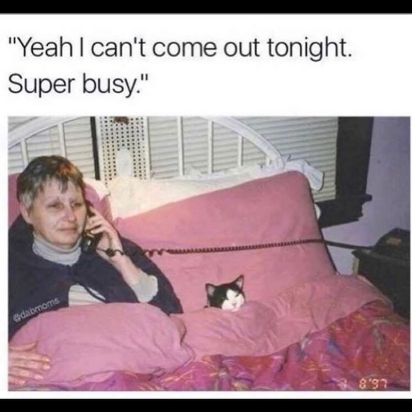 🌺🌸🌼Welcome!🌼🌸🌺 - Picture 3 of 3